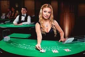 339 Live Casino